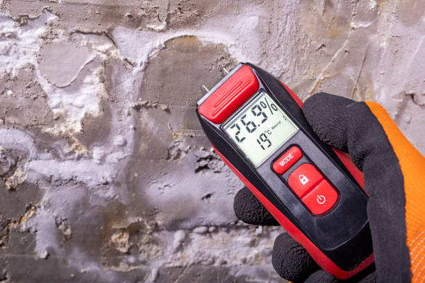 Best Attic Mold Removal  in Carbondale, KS