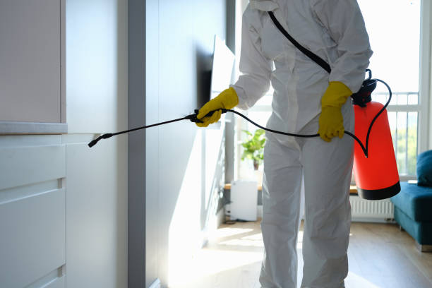 Best Mold Damage Repair  in Carbondale, KS