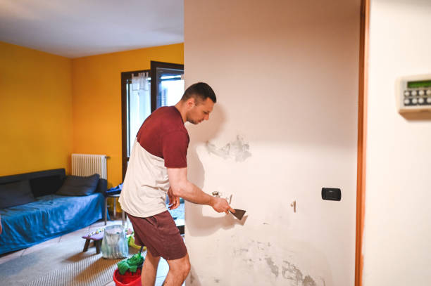 Best Residential Mold Removal  in Carbondale, KS