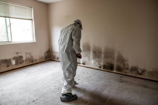 Best Residential Mold Removal  in Carbondale, KS
